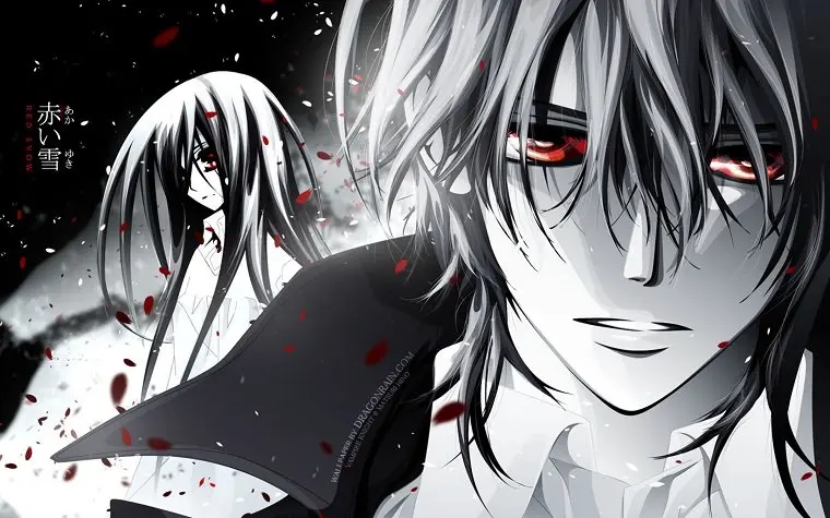 Рецензия на аниме "Рыцарь - вампир / Vampire Knight"